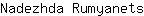 N***s