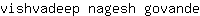 v***e