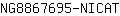 N***T