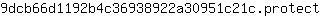 9***t