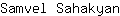 S***n