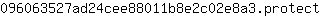 0***t