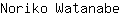 N***e