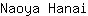 N***i