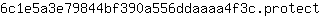 6***t