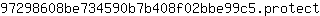 9***t