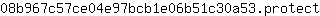 0***t