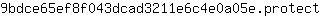 9***t