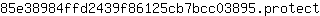 8***t