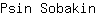 P***n