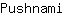 P***i