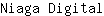 N***l