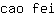 c***i