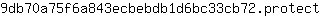 9***t
