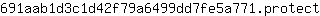6***t