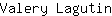 V***n