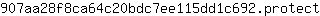 9***t
