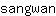 s***n
