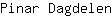 P***n