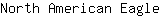N***e