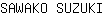 S***I