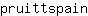 p***n