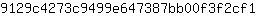 9***1