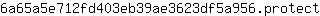 6***t