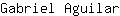 G***r