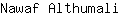 N***i