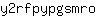 y***o