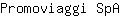 P***A