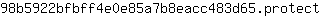 9***t