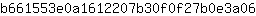 b***6