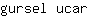 g***r