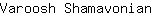 V***n