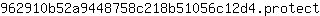 9***t
