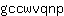 g***p