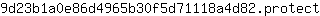 9***t