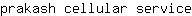 p***e