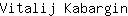 V***n