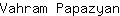 V***n