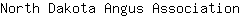 N***n