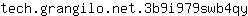 t***y