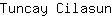 T***n