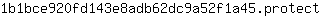 1***t