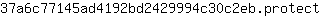 3***t