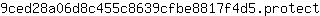 9***t
