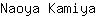 N***a
