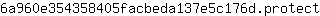 6***t